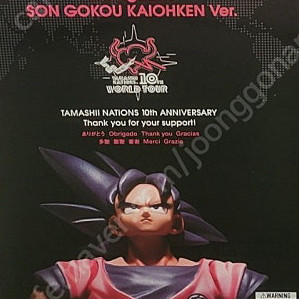 shf 드래곤볼 타마시네이션 10주년 한정 계왕권