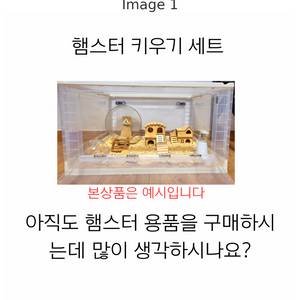 새상품 햄스터 용품팔아요 햄스터 키우기