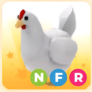 입양하세요 NFR 닭