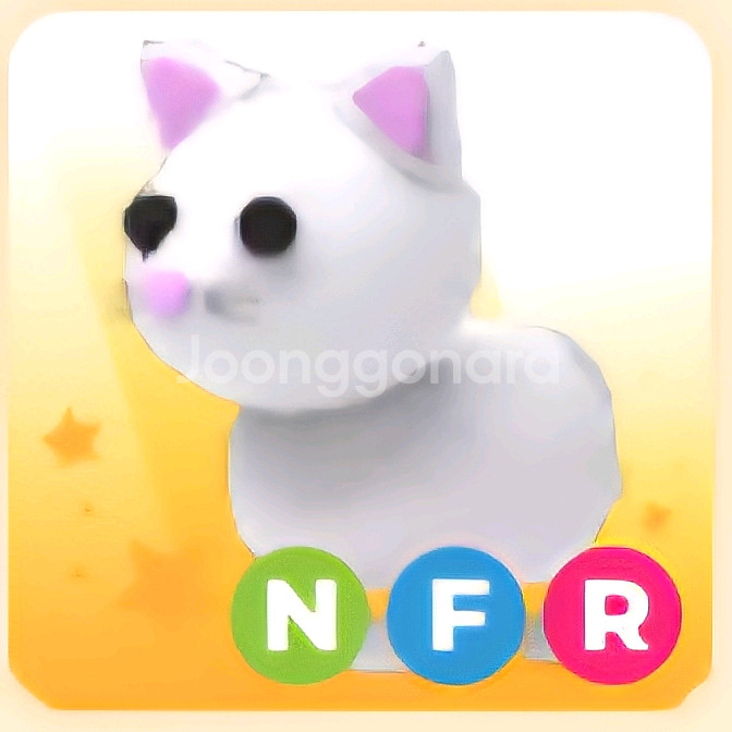 입양하세요 NFR 스노우 캣 (눈 고양이)--0