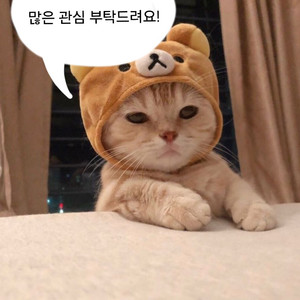 그립톡, 키링 주문제작( 전부 수작업)