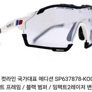 루디 선그라스 컷라인 변색고글 새상품(도쿄 올림픽 국가