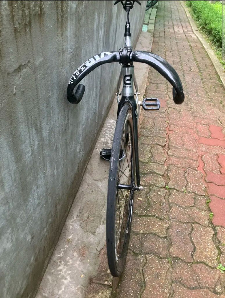 에콜로직스 랩소디 r3판/대 이미지