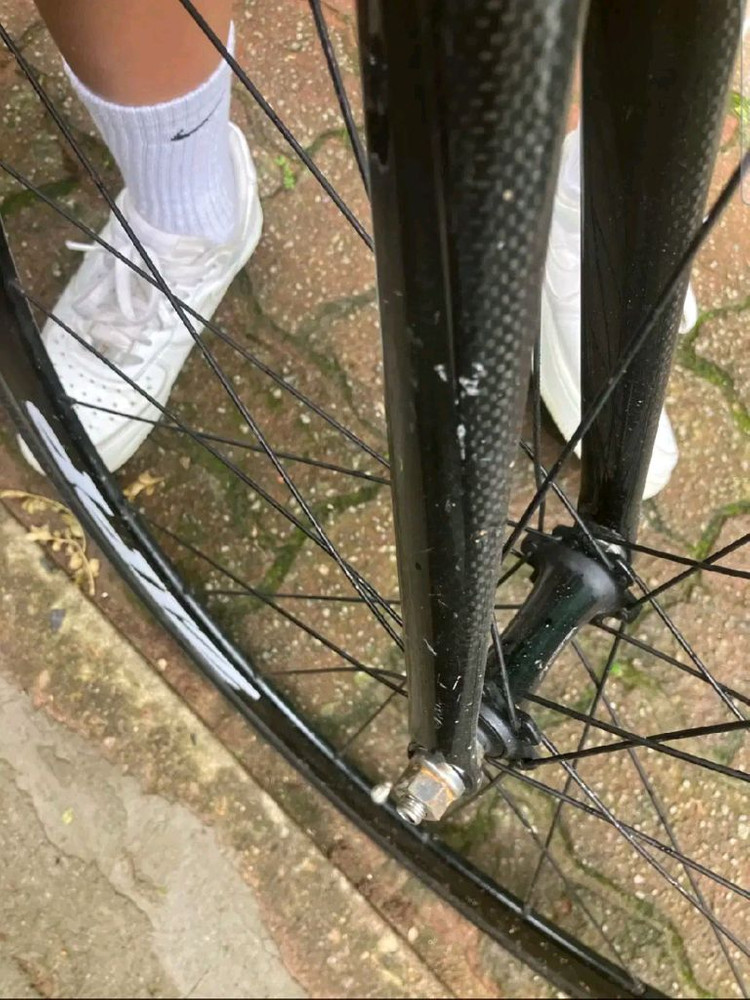 에콜로직스 랩소디 r3판/대 이미지