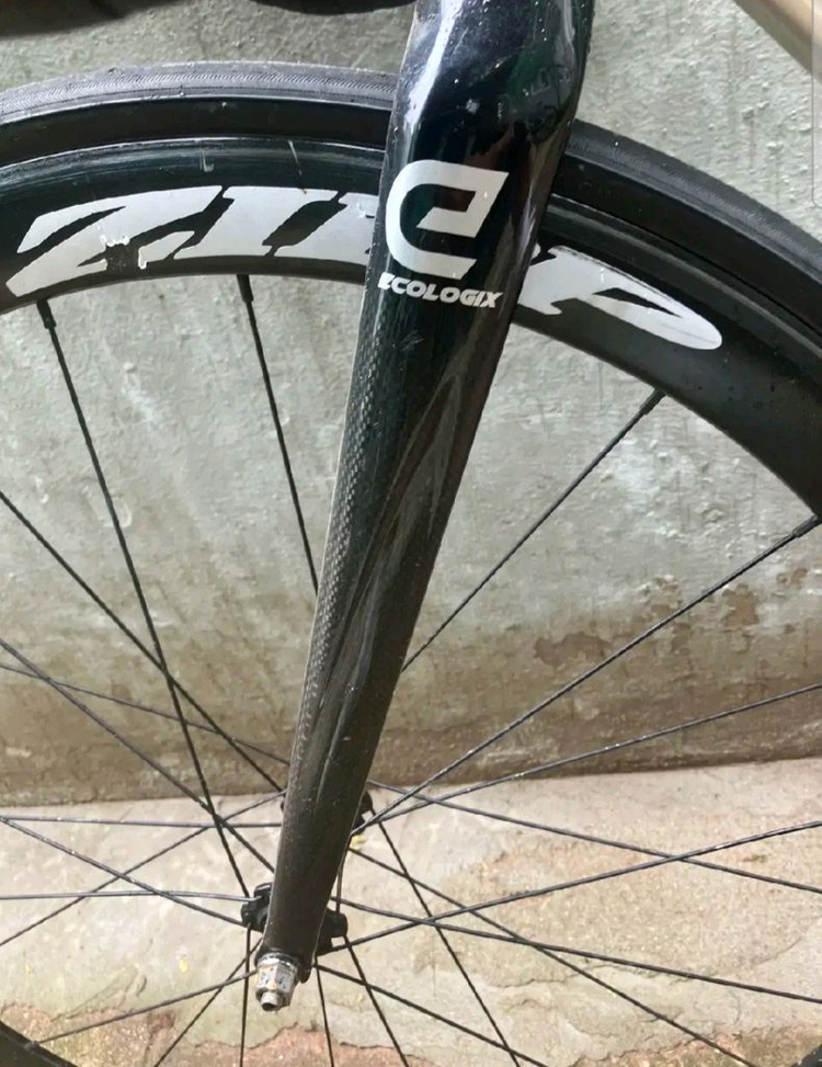 에콜로직스 랩소디 r3판/대 이미지