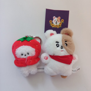 방탄 진 인형 햄찌니, 딸기 알제이 RJ