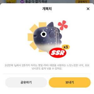 틱톡라이트 낚시 개복치