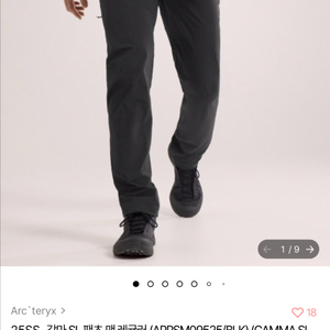 아크테릭스 감마 SL 팬츠 34-R(블랙)