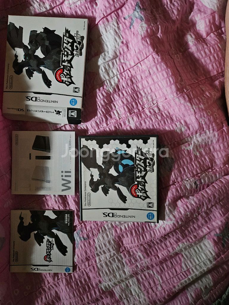 포켓몬스터 ds 화이트 1 2 + 문--6