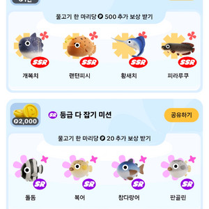 틱톡 물고기 할인 판매