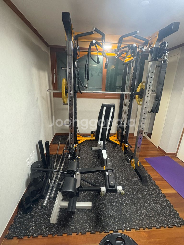 부산 동화 스포츠 듀얼 풀리 스미스머신 홈짐 정리합니다--0