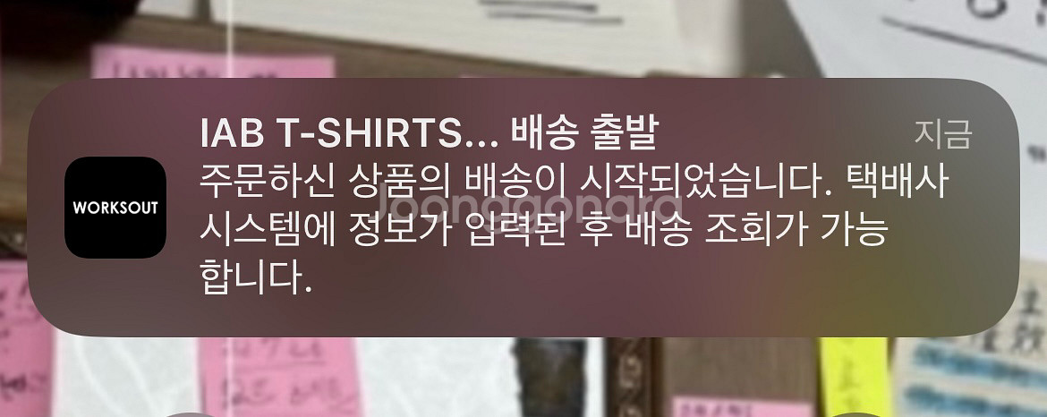아이앱스튜디오 반팔 XL 팝니다--4