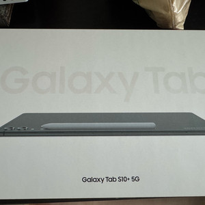 갤럭시탭 S10 플러스 5G 256gb SM-X826N