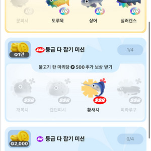 틱톡라이트 낚시원정대 구매합니다