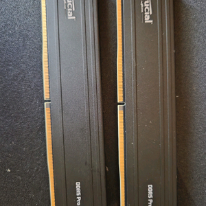 마이크론 DDR5-5600 CL46 32gb