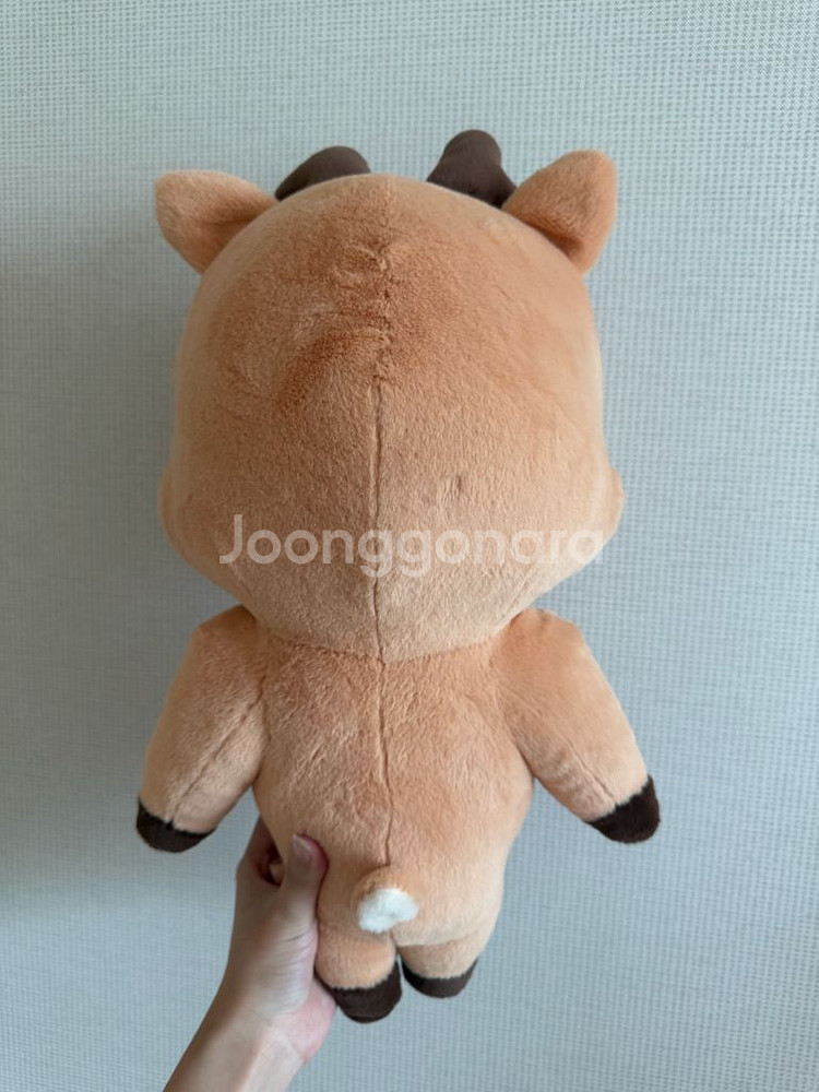 라이즈 성찬 40cm 우락밤 양도--1
