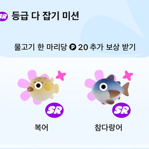틱톡라이트 돌돔,복어,참다랑어,판골린 팝니다~