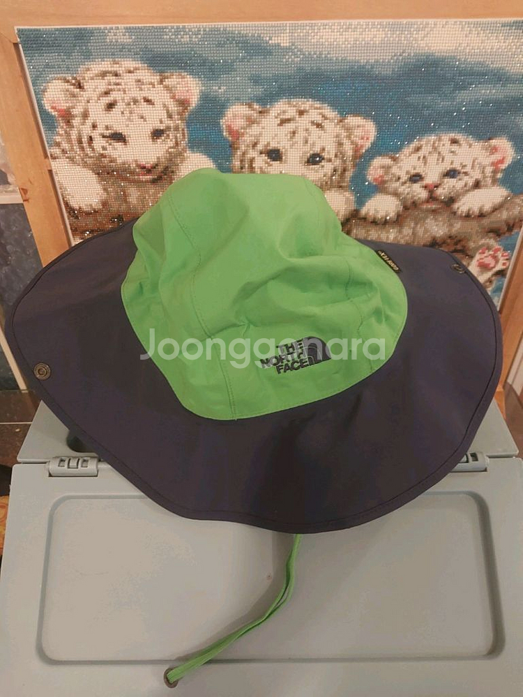 노스페이스 정품 고어텍스 모자 남성용 L (61) 사이--0