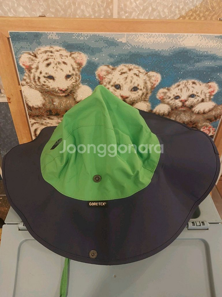 노스페이스 정품 고어텍스 모자 남성용 L (61) 사이--2