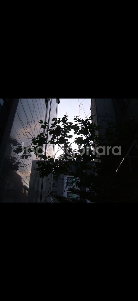 후지필름 FinePix A500 빈티지 디카--8