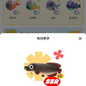 틱톡 SR 개당 200원 팝니다