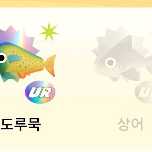 틱톡낚시 문피시 상어 실리캔스 일괄9만 삽니다