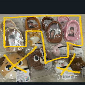 데이식스 포에버영 앙콘 MD