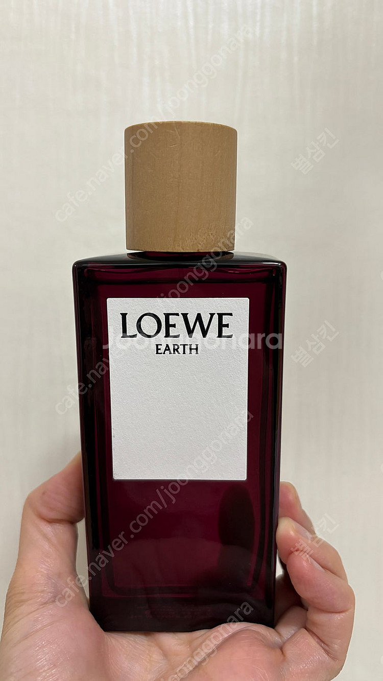 로에베 향수 어스 EARTH EDP 125ML--2