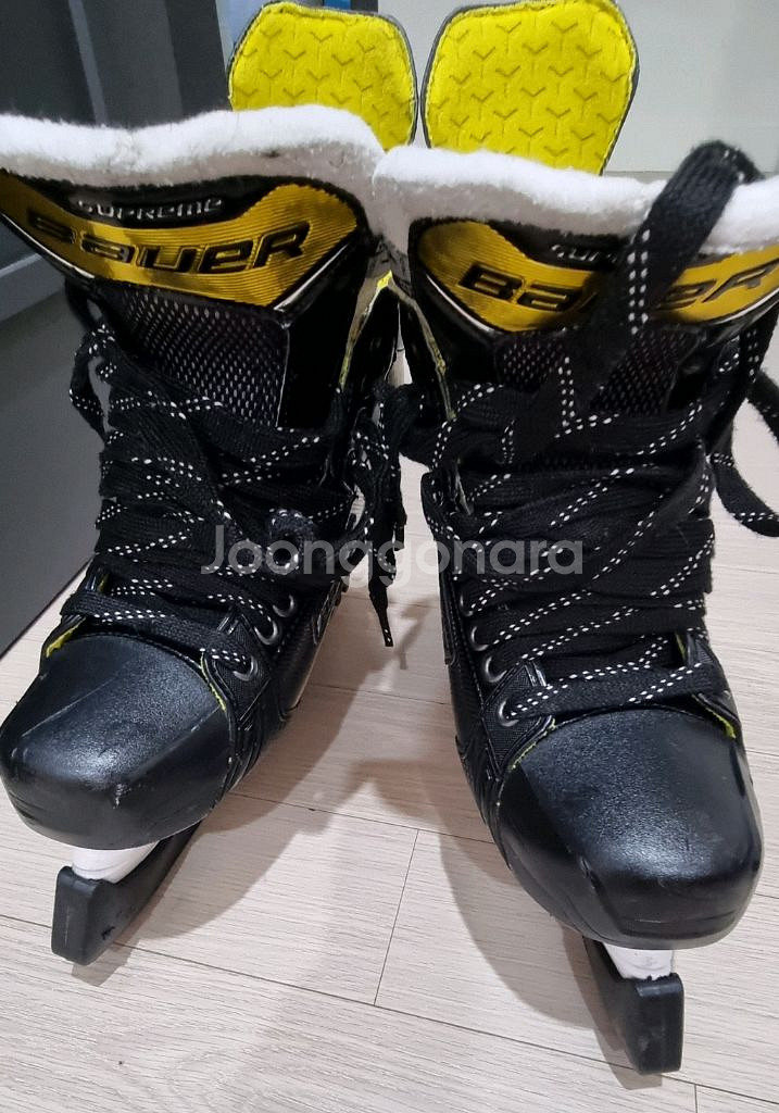 아이스하키 스케이트 바우어 6EE--0