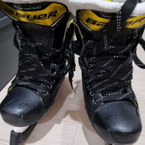 아이스하키 스케이트 바우어 6EE