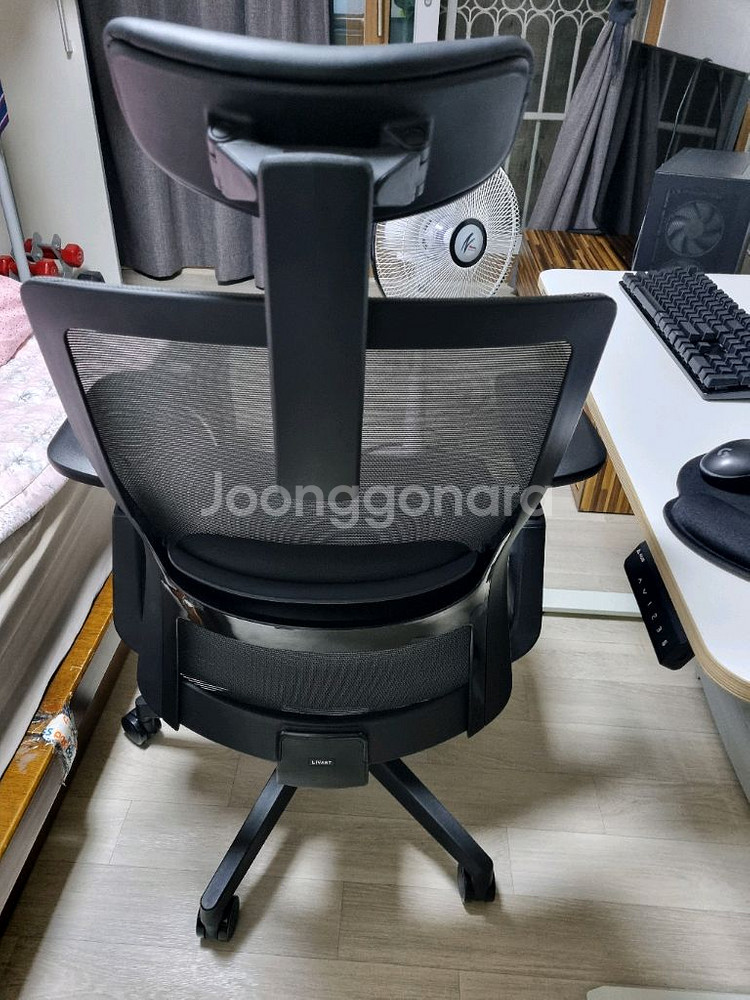 리바트하움 뉴테크닉 의자--3