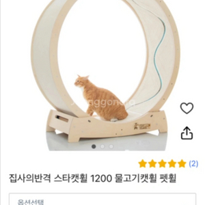 집사의반격 스타캣휠 1200 고양이