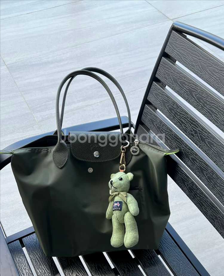 롱샴미디엄--0