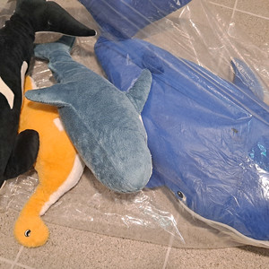 아쿠아리움인형 공룡인형 고래인형 상어인형