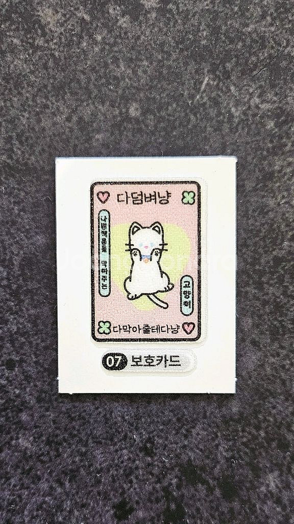 포켓몬 띠부실 코라이돈 다덤벼냥 보호카드 뚜벅쵸--3