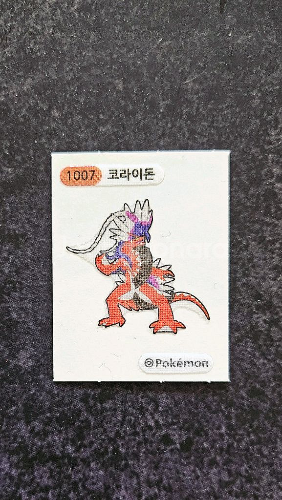 포켓몬 띠부실 코라이돈 다덤벼냥 보호카드 뚜벅쵸--1