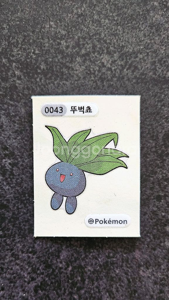 포켓몬 띠부실 코라이돈 다덤벼냥 보호카드 뚜벅쵸--2