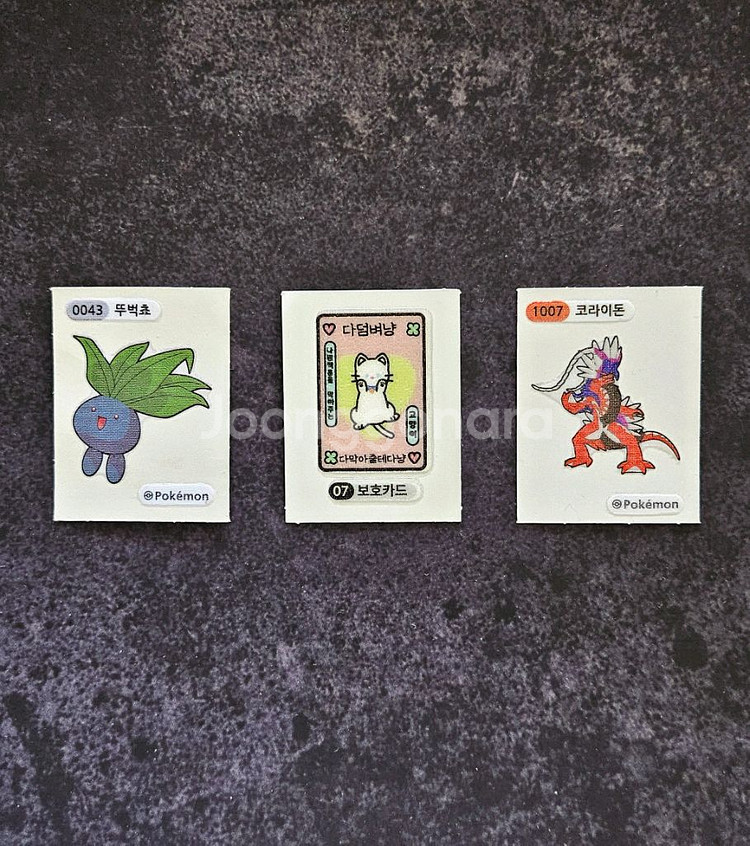 포켓몬 띠부실 코라이돈 다덤벼냥 보호카드 뚜벅쵸--0