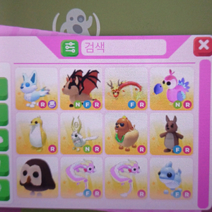 입양 펫 팔아여!