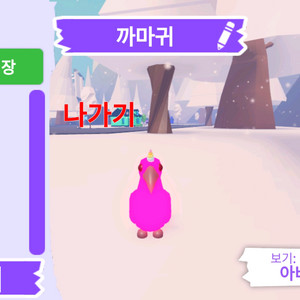 입양하세요 펫 메가네온 까마귀 판매합니다.