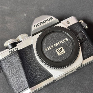 올림푸스 om-d e-m10ii (엠텐막투)