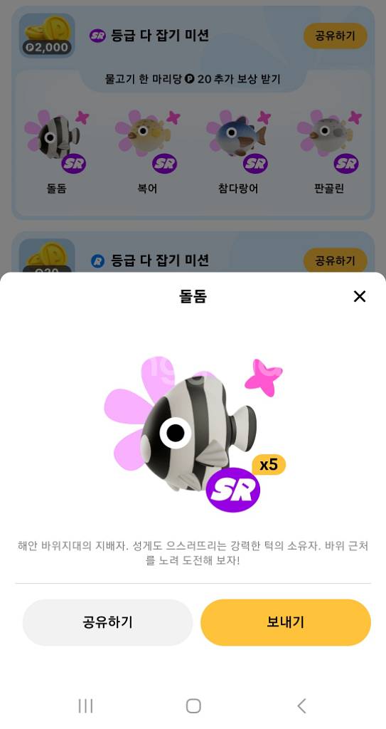 틱톡 낚시 sr 물고기 팝니다--0