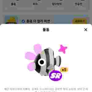 틱톡 낚시 sr 물고기 팝니다