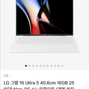 lg그램 256gb 16인치 노트북 급처합니다