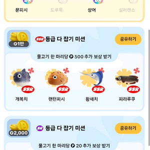 틱톡라이트 도로묵,실러캔스 삽니다