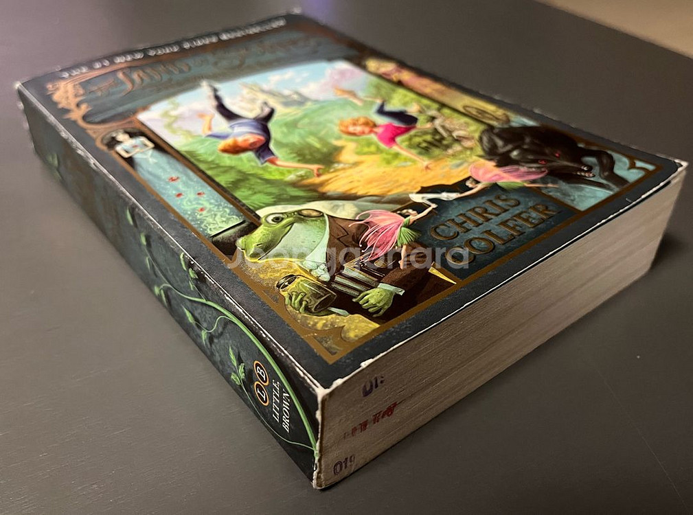 [새책] The Land of Stories, The--4