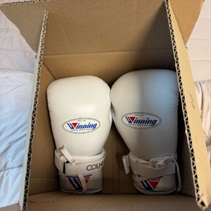 위닝 글러브 레플리카