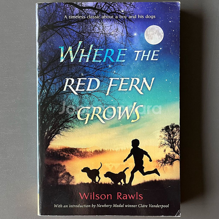Where the Red Fern Grows (나의 올--0