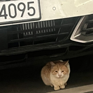 롤 아이디 판매