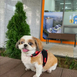 sk2기가 데이터 팝니다